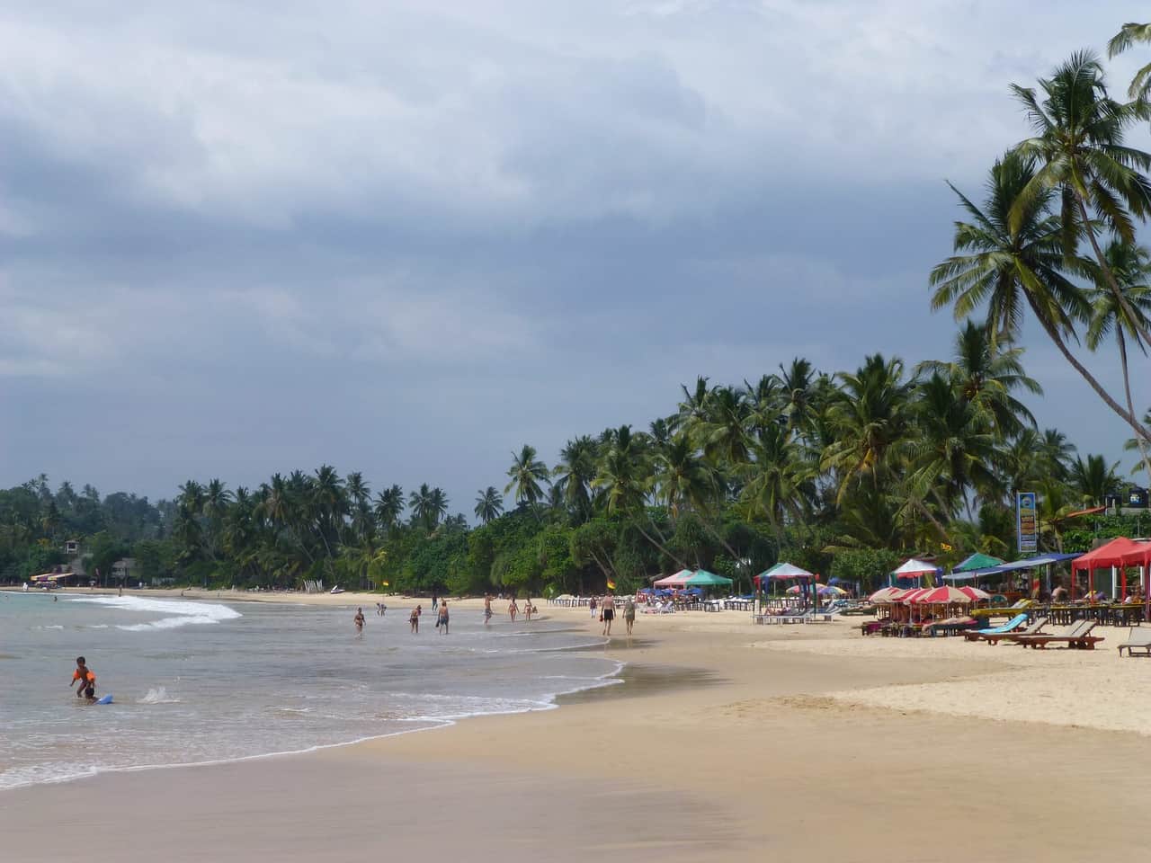 South Coast Beaches & Whale Watching