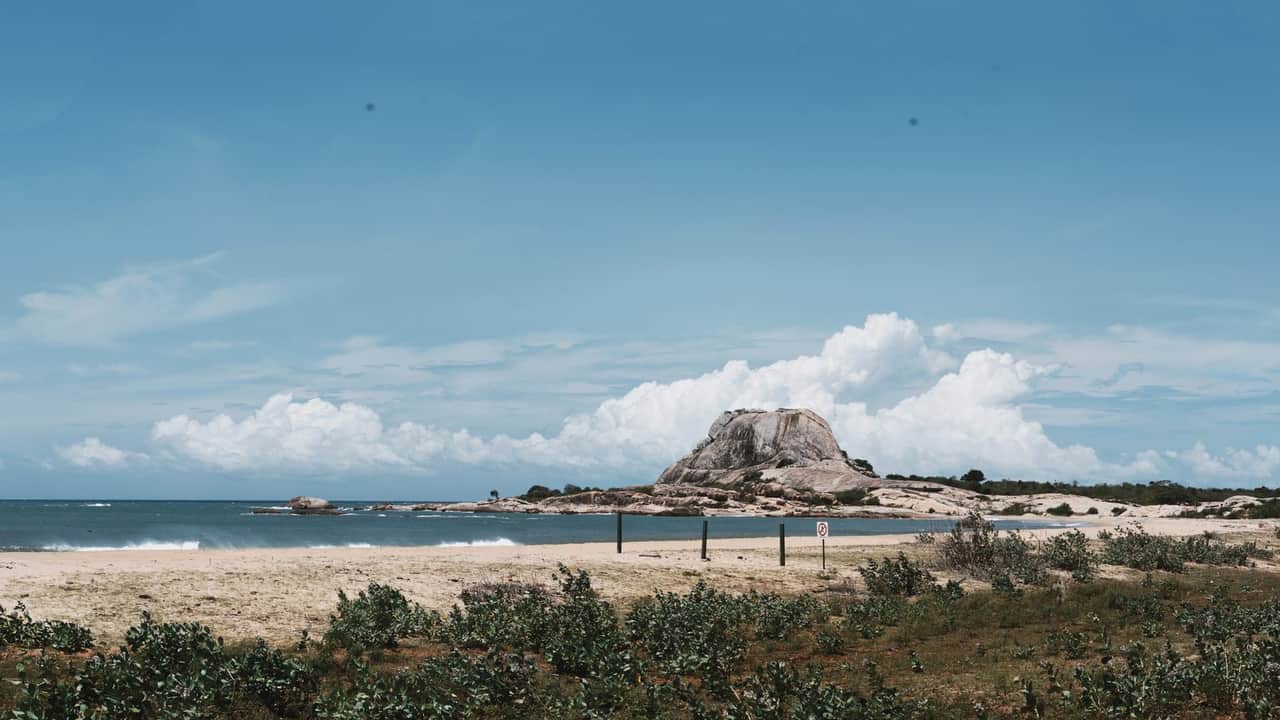 Yala Leopard Safari & South Coast Escape